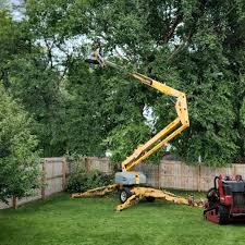 Best Tree Planting Service  in USA